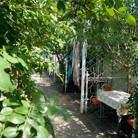 Sergey Rooms Zatoka Exterior foto